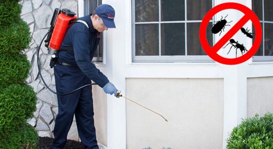 Kurucaşile Böcek İlaçlama böcek ilaçlama ve haşere kontrolü — ilaclama-tr.com